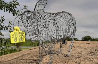 e-livestock global